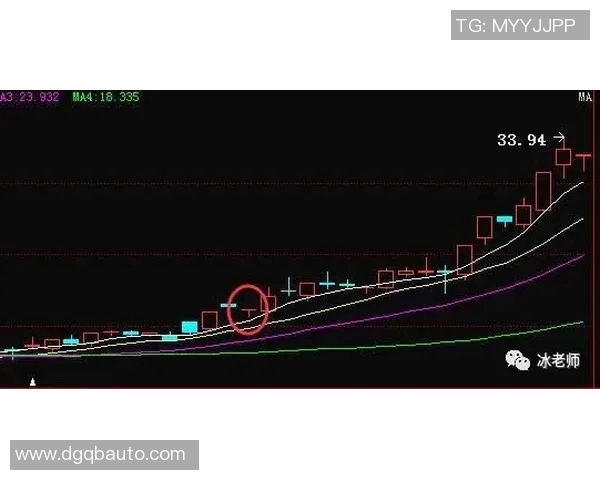 维尼3射1正9过4成：掌握高效命中率的秘密策略
